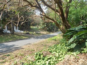 2509 m² Land available in Shelly Beach