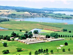 111 ha Farm in Tweedie