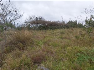 839 m² Land available in Eshowe