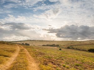 1340 m² Land available in Seaton Estate