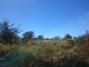 1448 m² Land available in Orkney