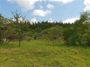 2.3 ha Farm in Olympus AH
