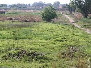 1.7 ha Land available in Rand Collieries