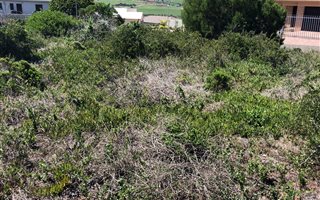 719 m² Land available in Reebok
