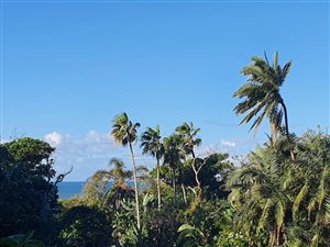 4628 m² Land available in Ramsgate