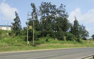 1 ha Land available in Shakaskraal