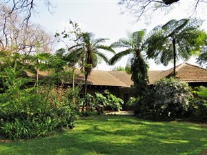 16 ha Farm in Modimole (Nylstroom)