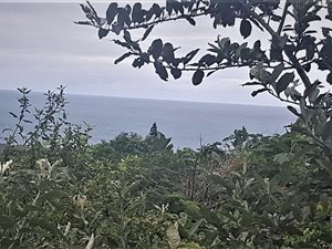 1280 m² Land available in Woodgrange