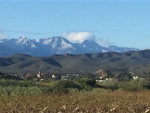 105 ha Farm in Calitzdorp