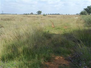 2.1 ha Land available in Sherman Park AH