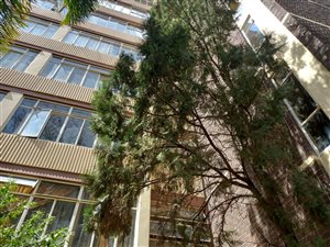 2 Bed Apartment in Sunnyside