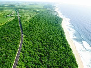 1171 m² Land available in Sibaya Precinct