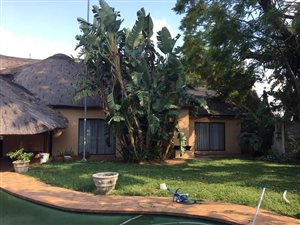 4 Bedroom House in Bo Dorp
