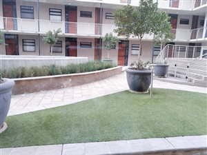 1 Bed Apartment in Brooklyn