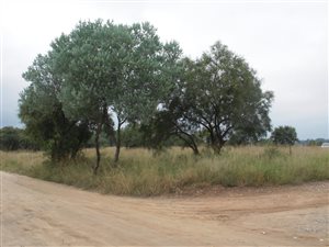 3.9 ha Land available in Laezonia