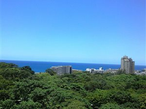 3 Bed Apartment in Willard Beach