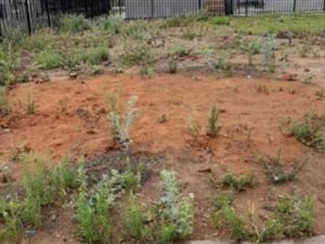 420 m² Land available in Bloemspruit