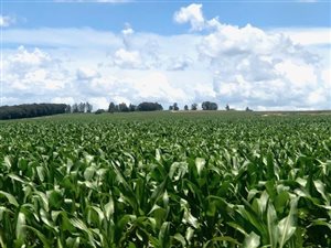 1149 ha Farm in Bethlehem