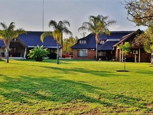 800 ha Farm in Vaalwater