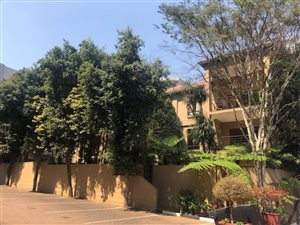 2 Bed Apartment in Morningside