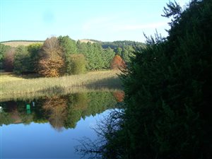 22.3 ha Farm in Dargle