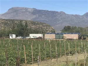 16.2 ha Farm in McGregor