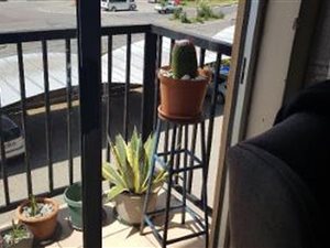 1 Bed Apartment in Evander