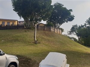 3 Bed House in Fairview