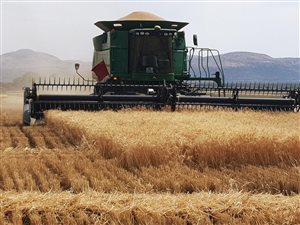 418.6 ha Farm in Thabazimbi