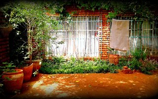 4.2 ha Farm in Ivydale