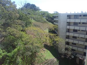 1 Bed Apartment in Sarnia