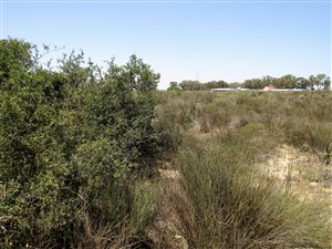 3 ha Farm in Hopefield