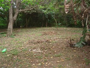 1259 m² Land available in Hibberdene