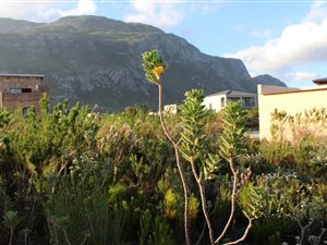 884 m² Land available in Bettys Bay