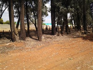 2105 m² Land available in Highbury