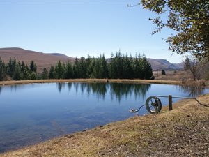 161.9 ha Farm in Bothaville