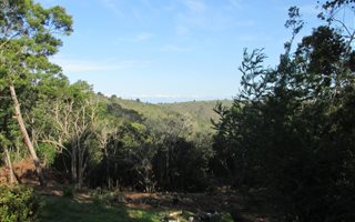 2.9 ha Land available in Victoria Bay