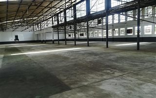12258 m² Industrial space in Manufacta