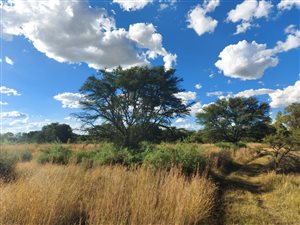 14.8 ha Smallholding in Kroonstad