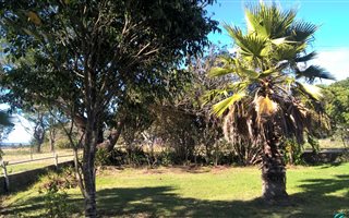 3 Bedroom House in Bisho