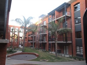 2 Bed Apartment in Melrose