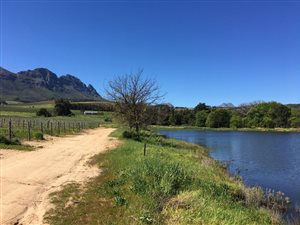 49.3 ha Farm in Stellenbosch Agricultural