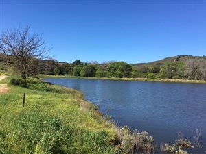 49.3 ha Farm in Stellenbosch Agricultural