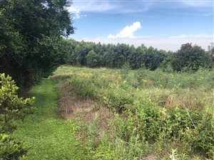 2033 m² Land available in Hilton
