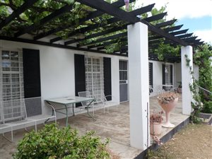 3 Bedroom House in Steynsburg