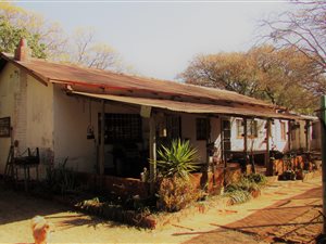 9 ha Farm in Vissershoek