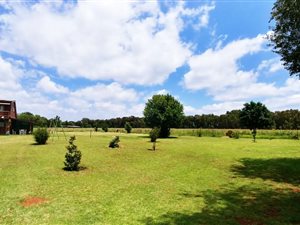 8 ha Farm in Zesfontein AH