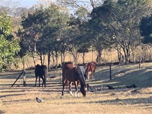 9 ha Farm in Pietermaritzburg Central