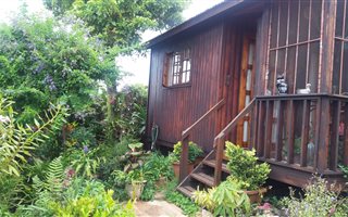 1 Bedroom Garden Cottage in Umbilo