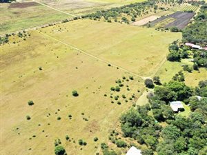 21 ha Farm in Modimole (Nylstroom)